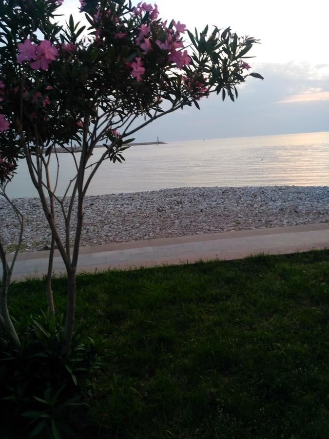 Begovic Apartman *